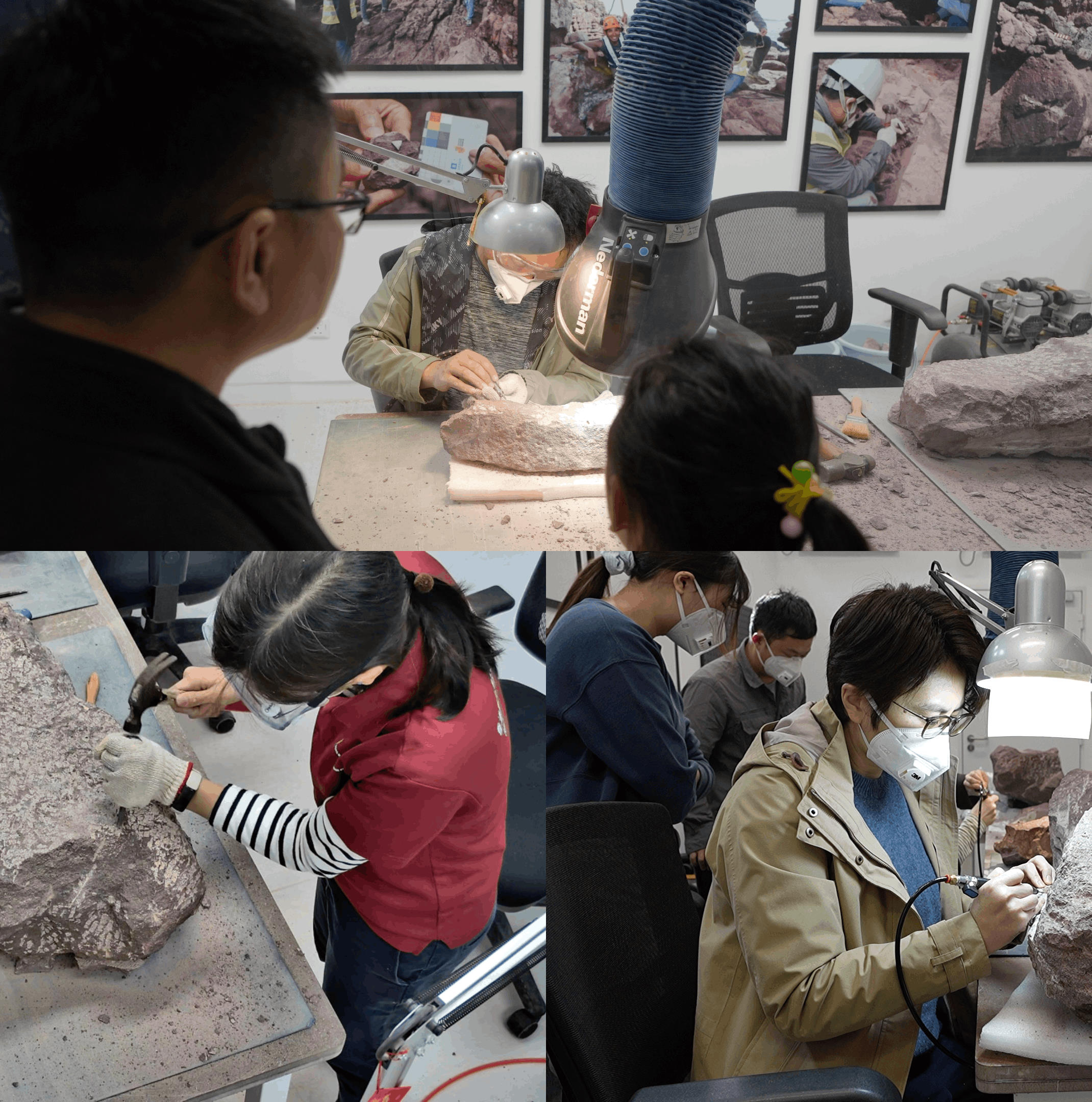 中國科學院古脊椎動物與古人類研究所的專家與漁農自然護理署、香港科學館及古蹟辦人員共同參與恐龍化石的清修工作。