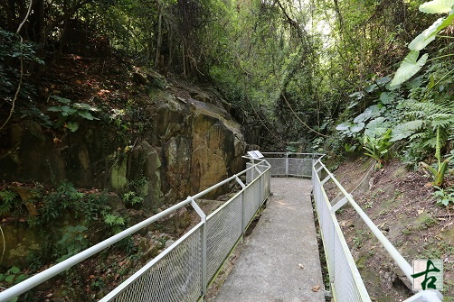 A general view of Wong Chuk Hang Rock Carvings with the viewing platform on the right