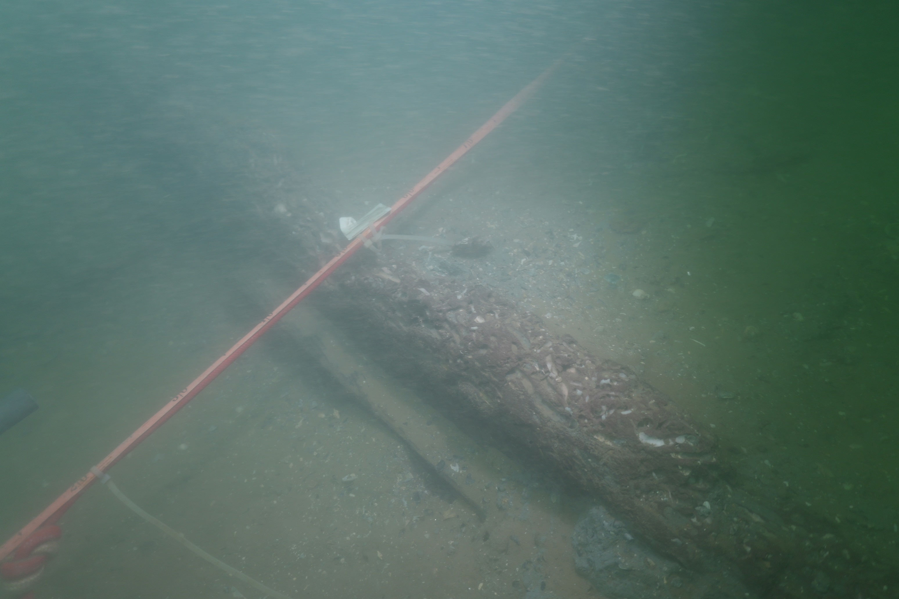 明代沉船老牛礁一號的其中一道隔艙板