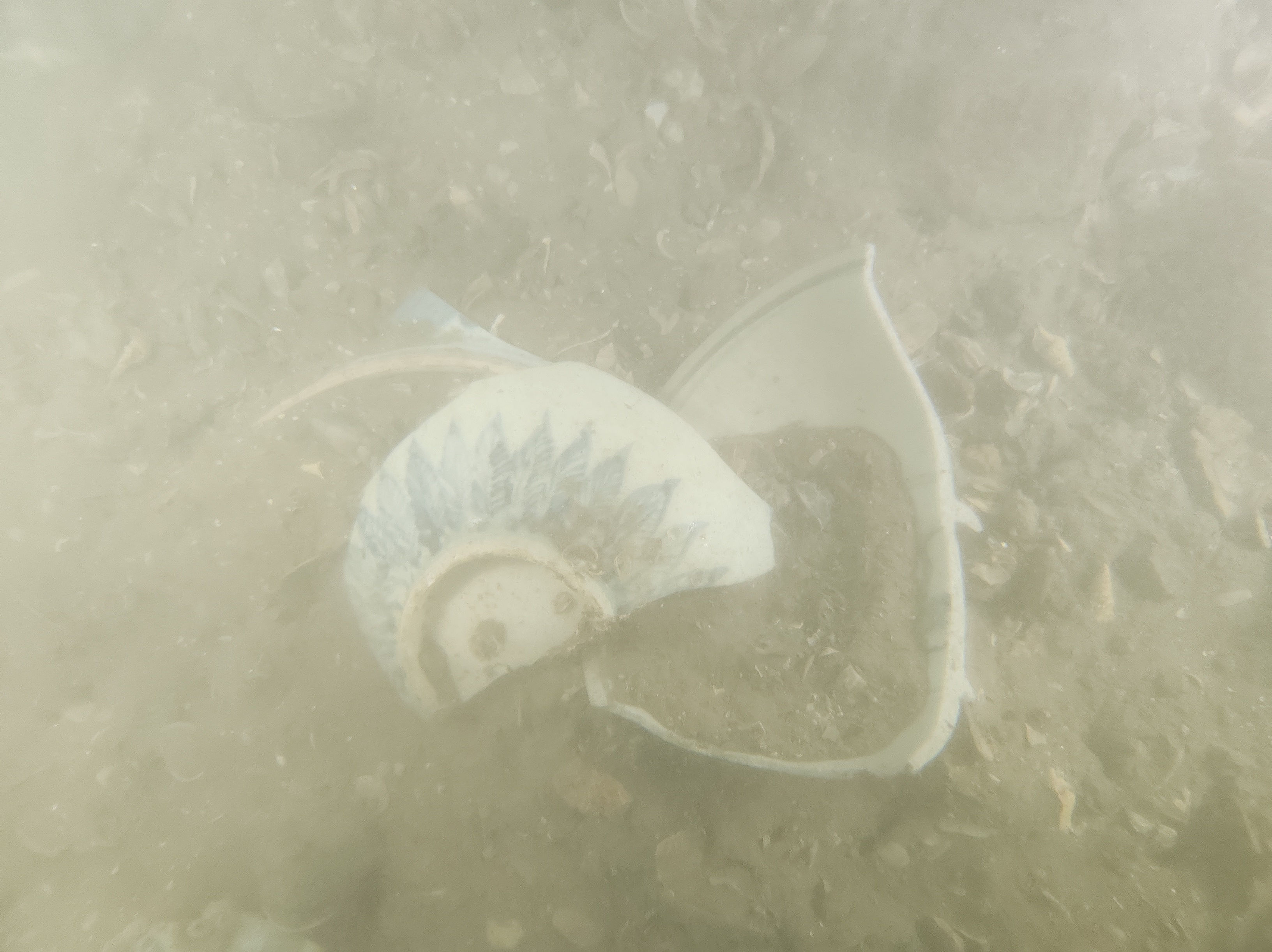 散落於明代沉船老牛礁一號內的青花瓷