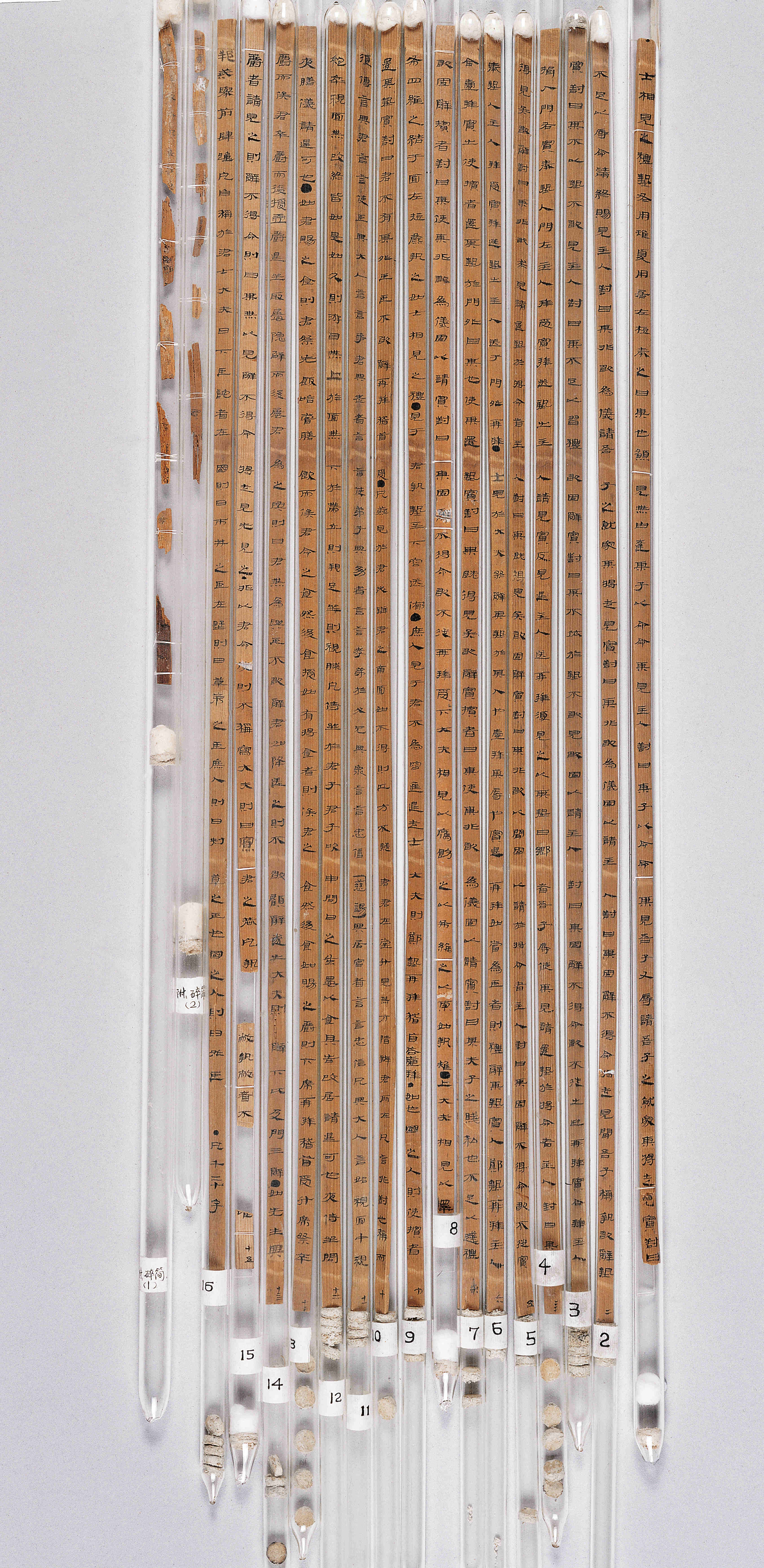 《儀禮》木簡（展出木簡，編號一至十）