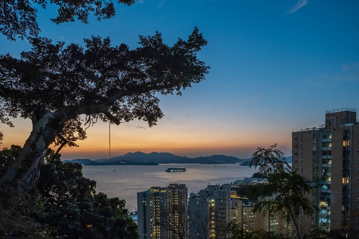 活化後的「薄鳧林牧場」加設通往主樓的斜道,可遠眺南區一望無際的海景。夕陽斜照下,成為「打卡」熱點。