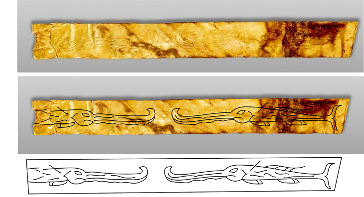 與「魚紋金帶」上魚紋極為相似的白鱘,最後在長江流域出現已是2003年,世界自然保護聯盟(IUCN)今年7月宣布長江白鱘已經絕種。