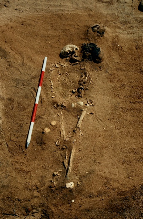 編號C7新石器時代晚期墓葬保存年齡大於四十歲的女性骸骨