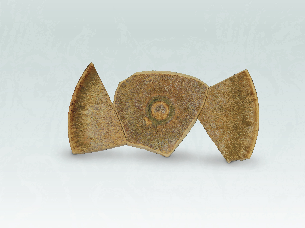 Partridge feather glazed tea bowl