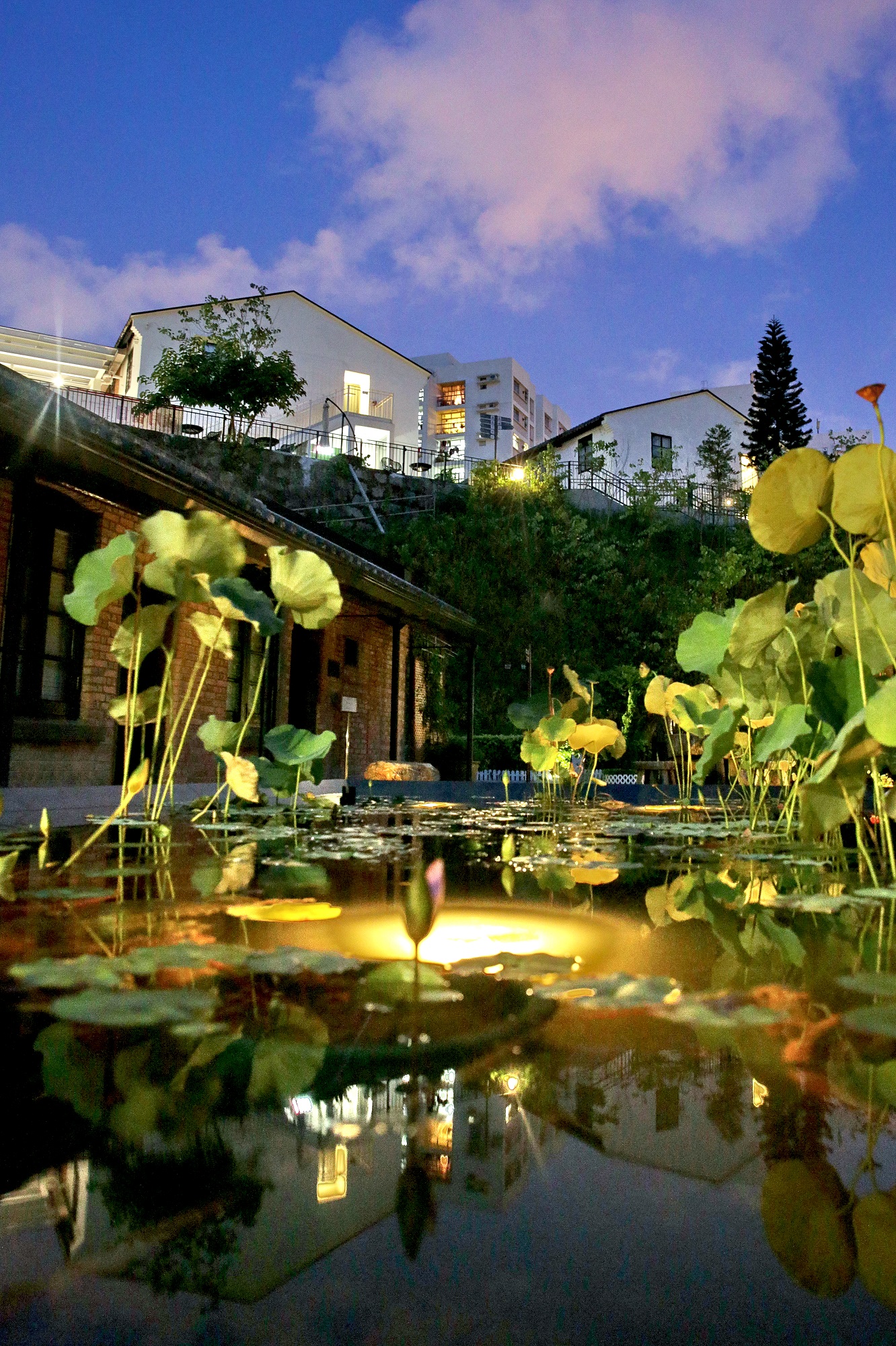 黃昏時分的饒館充滿恬靜安逸的氣息。(圖片來源:饒宗頤文化館)