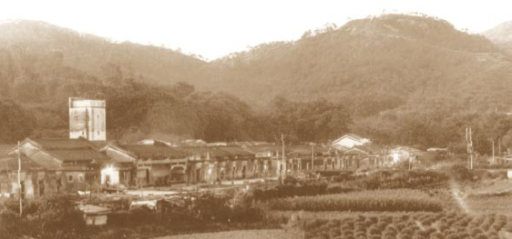 Tai Po Tau Tsuen in the early 1960s.